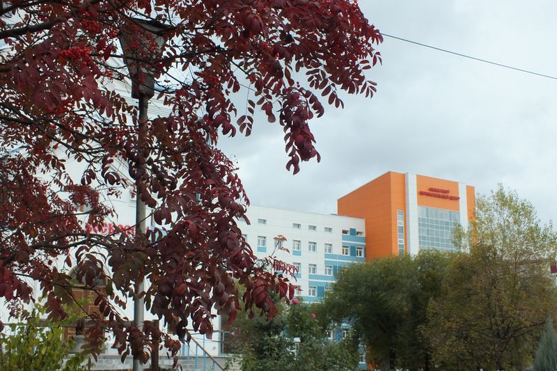 Больница Середавина Самара Фото