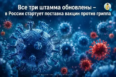 В России начнут поступать обновлённые вакцины против гриппа