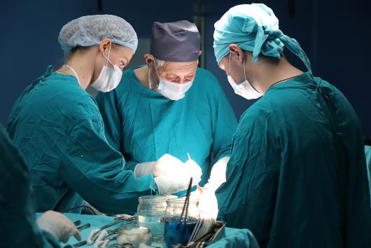 В Самаре состоялся мастер-класс школы классической герниологии под руководством профессора, юбиляра - Владимира Ивановича БЕЛОКОНЕВА, который отметил свое 75-летие