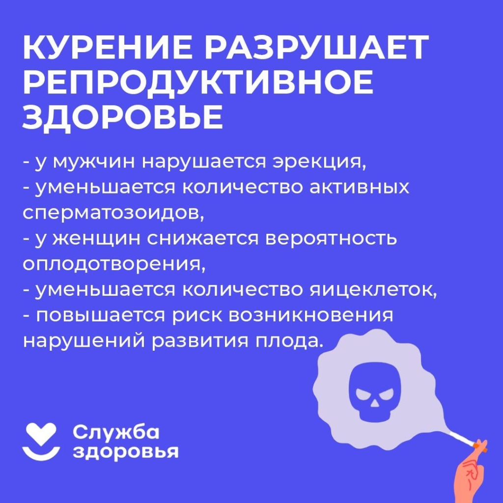 by4YCqVOa0w.jpg