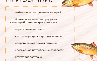 Инфографика о поведенческих паттернах в семье