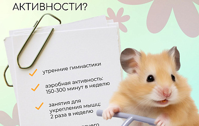 Полезная инфографика. Популяризация активных видов спорта