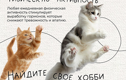 Инфографика о важности психического здоровья